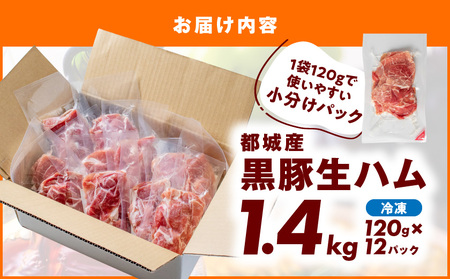 黒豚生ハム1.4kg_MJ-2519_(都城市) 宮崎県産 豚肉 120g×12パック 小分け 都城産 加工品 食品 つまみ 酒のお供 酒の肴