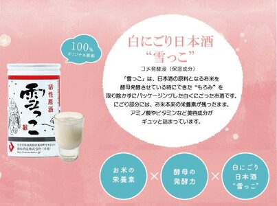 先行予約 雪っこオールインワンジェル1本と活性原酒雪っこ3本セット 美容液 スキンケア お酒