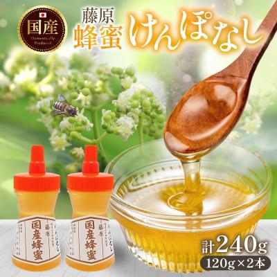 ふるさと納税 盛岡市 藤原国産蜂蜜 けんぽなし 計240g 完熟 単花蜜 藤原養蜂場 岩手県盛岡市