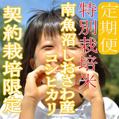 ふるさと納税 南魚沼市 【発送月固定定期便】※特別栽培米8Kg※生産者限定 南魚沼しおざわ産コシヒカリ全3回 |  | 01