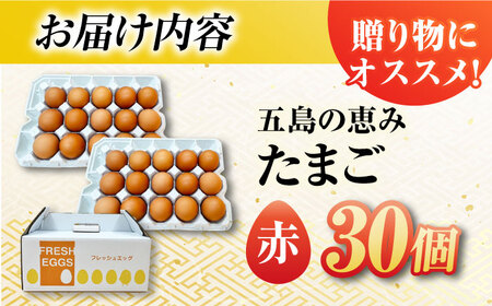 【お得な箱入り】五島の恵みたまご M〜Lサイズ 30個入 / 卵 赤玉子 五島市 / 五島列島大石養鶏場[PFQ037]