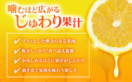 八朔 2kg 小玉 江田島市産 ハッサク はっさく 広島 みかん ミカン 柑橘 柑橘類 果物 くだもの フルーツ 家庭用 濃厚 デザート 旬 国産 ハルテラス農園/江田島市[XCX001]
