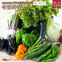 【ふるさと納税】【8ヶ月定期便】有機JAS認定 季節の野菜詰め合わせ～有機野菜セットA～ 10～12種類程度 おまかせ 詰め合わせ 農薬化学肥料不使用 朝どれ 新鮮野菜 安心 安全 国産 北海道 北広島市産 冷蔵 送料無料