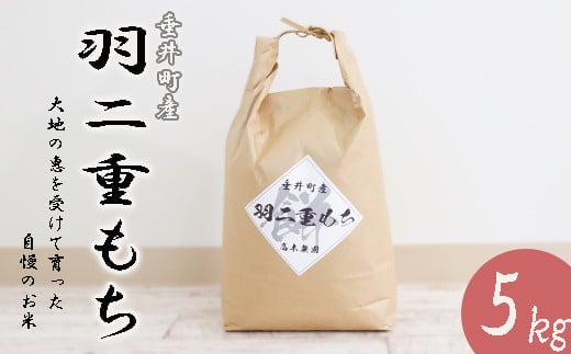 ≪令和5年産新米≫岐阜県産羽二重もち5kg