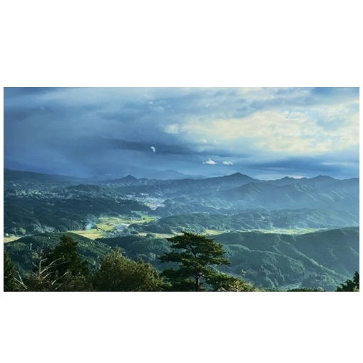 定期便12回 大和当帰 入浴剤 50包 (5包入×10個) /ウェルネスフーズUDA ふるさと納税 無添加 有機栽培 おすすめ リラックス ストレス解消 ボディケア 肌荒れ改善 疲労回復 送料無料 奈