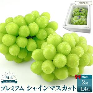 プレミアム　シャインマスカット　晴王 2房　約1.4kg　｜  シャインマスカット