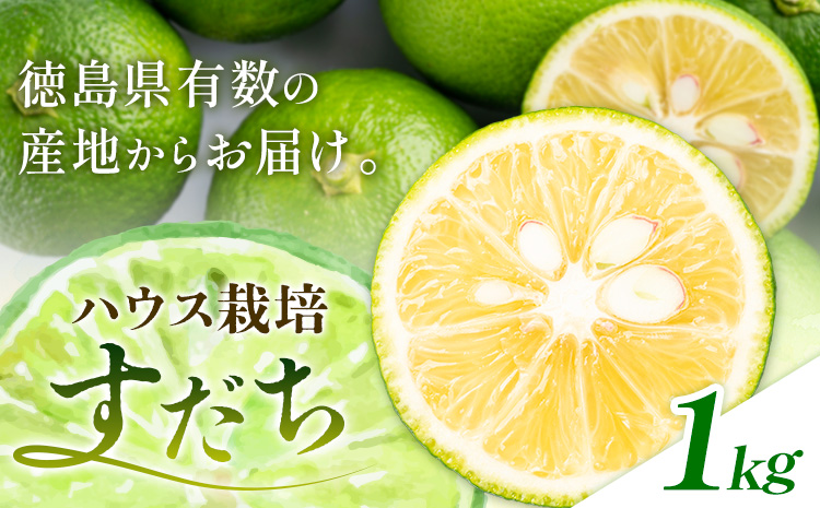 佐那河内名産 ハウス栽培 すだち 40玉 (1kg) ハウスすだち スダチ 一般財団法人さなごうち《6月中旬-9月上旬頃出荷》徳島県 佐那河内村 送料無料 スダチ ハウス 魚 豆腐 冷奴 焼き魚 天ぷら 刺身 徳島県産---sanagouchi_hss_1_1kg---
