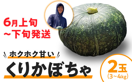 【2026年先行予約】くりかぼちゃ 2玉 C062-003-01 野菜 やさい かぼちゃ カボチャ 南瓜 栗かぼちゃ 栗カボチャ くりかぼちゃ 栗南瓜 レア 貴重 先行受付 先行予約 先行 予約 限定 旬 レア品種 人気 お菓子作り 甘い あまい 美味しい おいしい かぼちゃケーキ パンプキン パンプキンケーキ ポタージュ かぼちゃポタージュ かぼちゃスープ スープ 鹿児島県 鹿児島 沖永良部島 沖永良部 スナップ牧場 ふるさと納税 知名町 おすすめ ランキング プレゼント ギフト