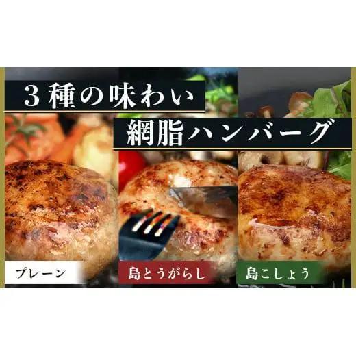 石垣島産 やえやまファームのアグー豚(南ぬ豚) 網脂ハンバーグ食べ比べセット(3種×各2個)　E-26 