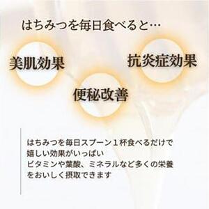 946.天然はちみつ　百花蜜　600g×1本  蜂蜜 ハチミツ ハチ蜜 鳥取県産◇日本全国配送可能