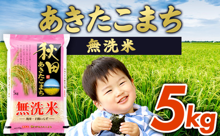 【令和6年産】あきたこまち無洗米 5kg　75P9204