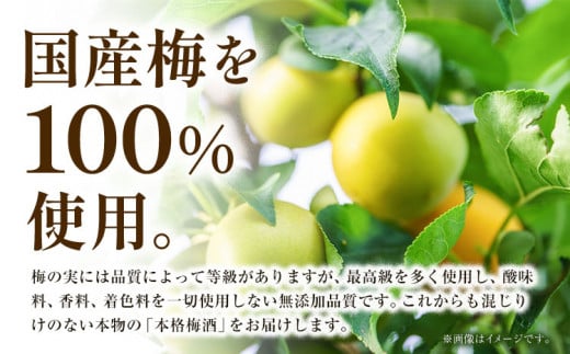CHOYA 酔わない ウメッシュ ノンアルコール 350ml × 24本 羽曳野商工振興株式会社《30日以内に出荷予定(土日祝除く)》大阪府 羽曳野市 送料無料 梅酒 梅 酒 CHOYA チョーヤ チ