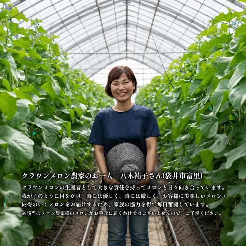 クラウンメロン【並（白等級）】特大玉（1.5kg前後）6玉入り 人気 厳選 ギフト 贈り物 デザート グルメ 果物 袋井市 果物類 メロン青肉 フルーツ