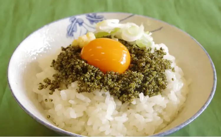 60P3206 大館産とんぶり170g×3【一般社団法人 大館市観光協会】