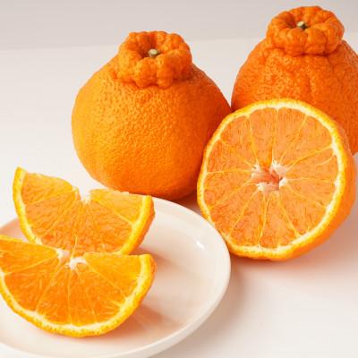 ふるさと納税 東かがわ市 【発送月固定定期便】東かがわ市フルーツ定期便全5回