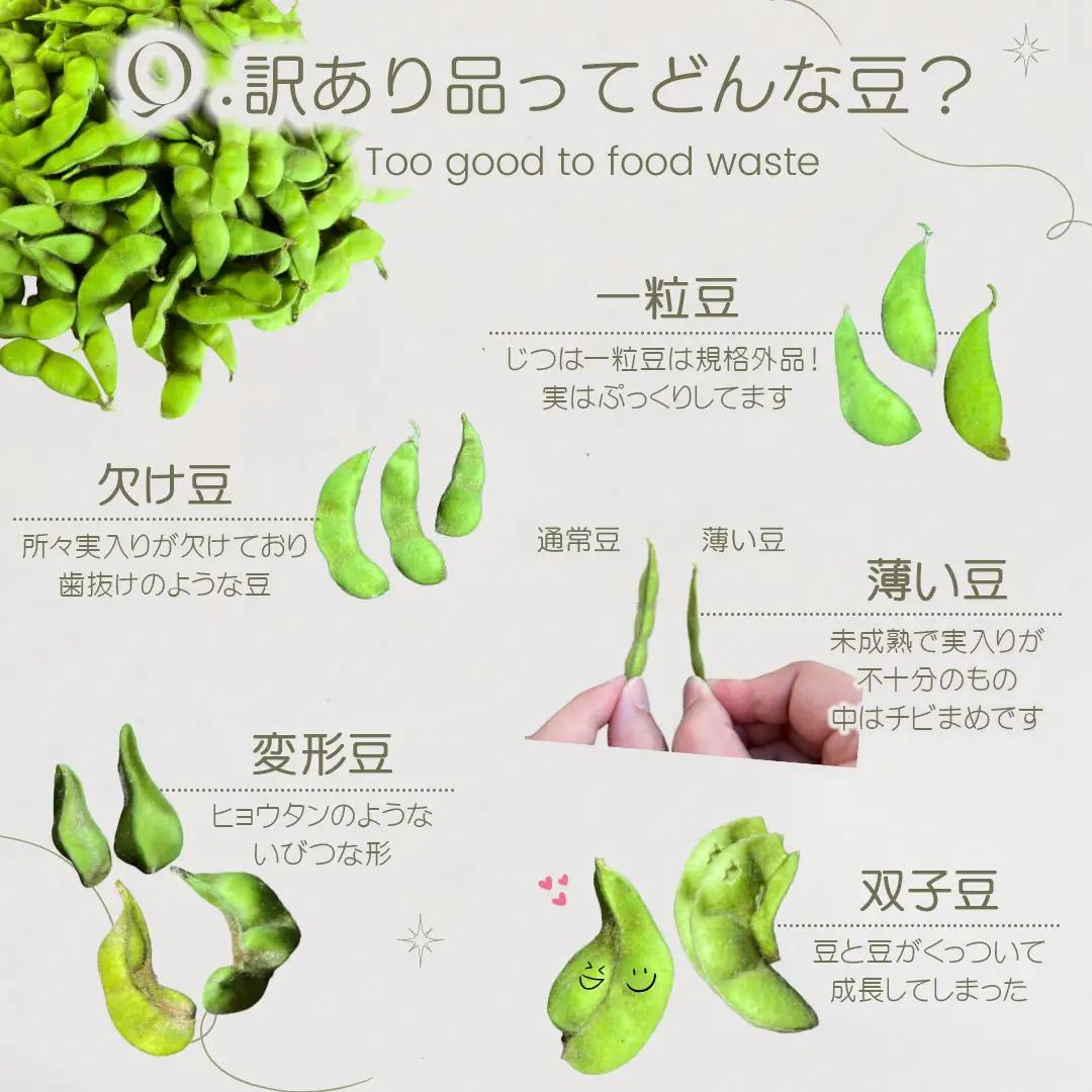 【令和8年産先行予約】【訳あり】白山だだちゃ豆　5kg（1kg × 5袋）　長五郎