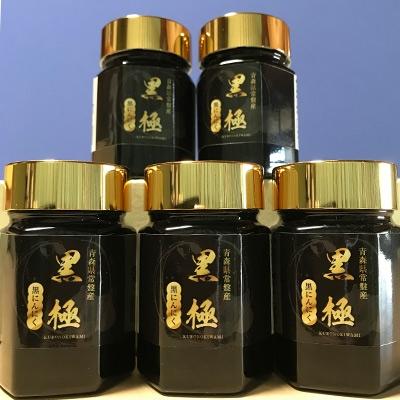 ふるさと納税 藤崎町 黒ニンニクペーストビン70g×5本入り