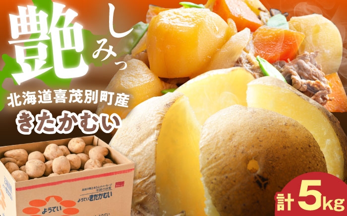 
                  【2027年1月上旬以降順次発送】じゃがいも きたかむい 5kg 《喜茂別町》【Aコープようてい】 じゃがいも いも 芋 ジャガイモ イモ 野菜 北海道 ポテト 国産 産地直送 旬 お取り寄せ 常温 [AJAK029]
                