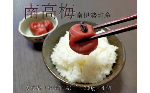 伊勢志摩産 梅干 南高梅 うす塩 200g 4個 計 800g  無添加 大粒 塩分 11% ないぜ しぜん村 ふるさと 納税 梅干し うめ 梅 ume 肉厚 手作り 小分け 送料無料 産地直送 三重