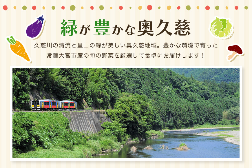 新鮮 奥久慈産 旬の野菜詰め合わせ 季節 セット 茨城県 特産 野菜セット 詰め合わせ 国産 旬 お試し おまかせ お楽しみ 野菜 採れたて 美味しい 直送