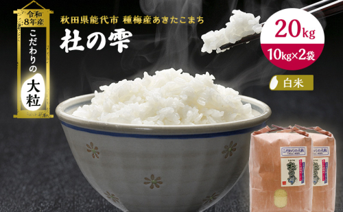 新米 先行予約 令和8年産【白米】秋田県産 あきたこまち 20kg(10kg×2)「杜の雫」こだわりの大粒 種梅産【 お米 たねうめ 白米 精米 ご飯 ブランド米 大粒 おにぎり 産地直送 おこめ ごはん 】