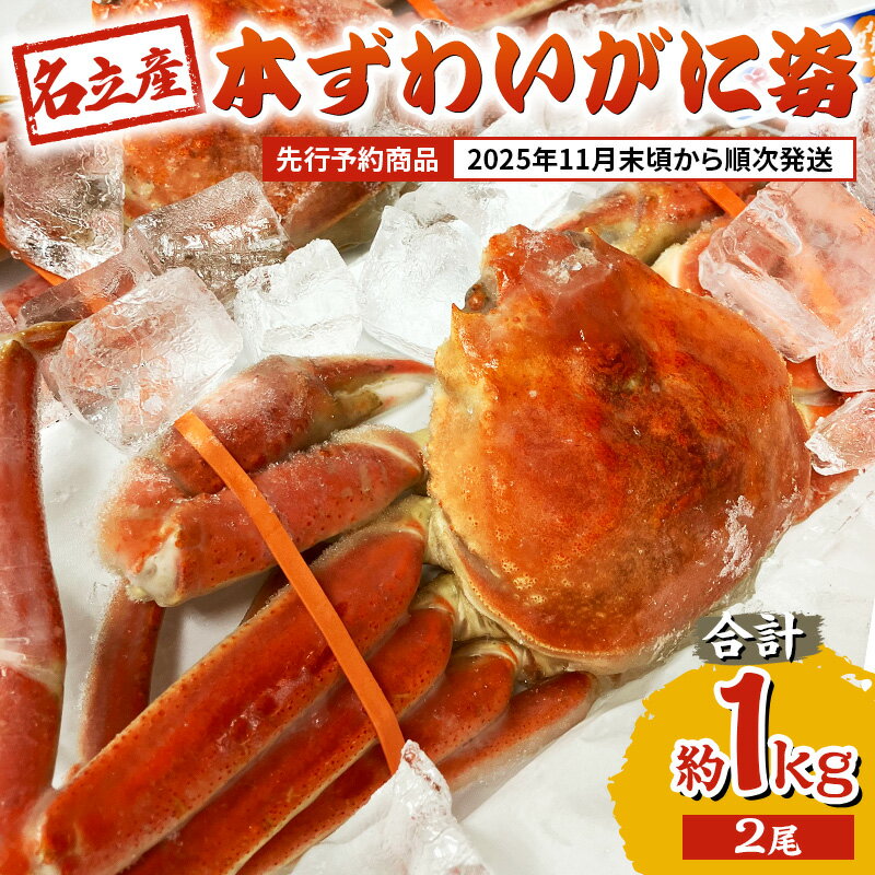 【ふるさと納税】【先行予約商品　2025年11月末頃から順次発送します】名立産　本ずわいがに姿　2尾　合計約1.0kg　新潟 上越 ズワイガニ 冷凍カニ 海産物　お届け：2025年11月下旬～12月中旬まで