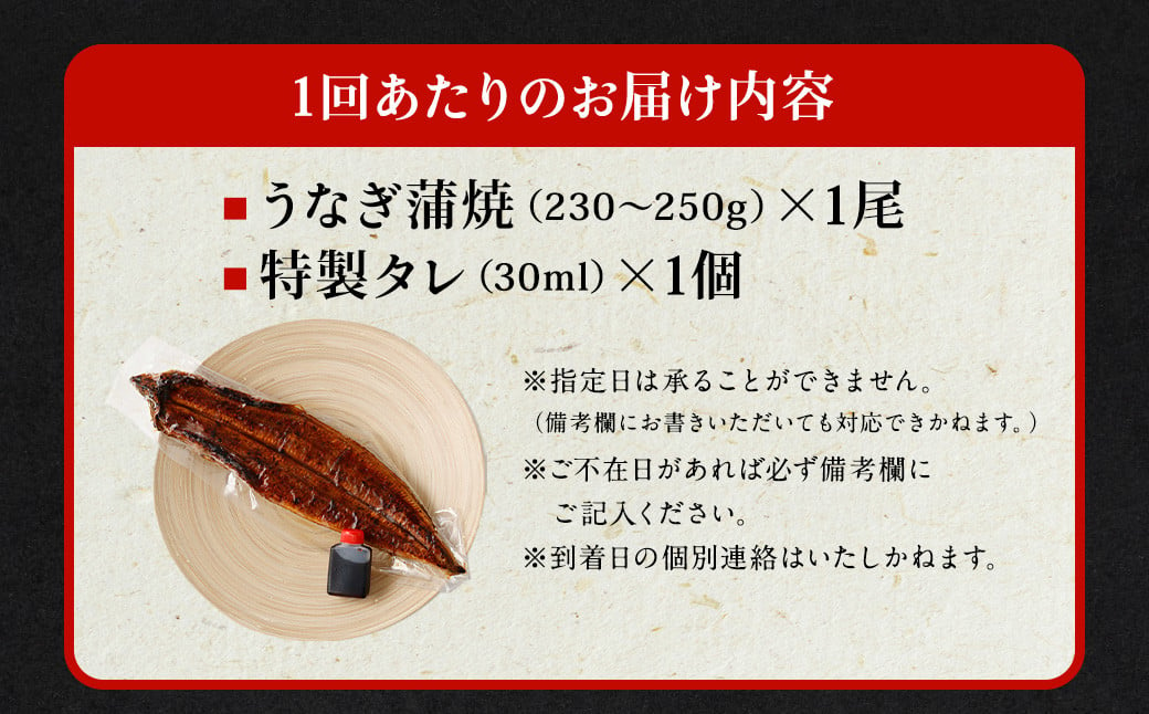 国産 うなぎ 蒲焼 1尾 （230g～250g）と 特製 タレ 1個 セット｜ 鰻 蒲焼き かば焼き 冷凍 大阪府 阪南市