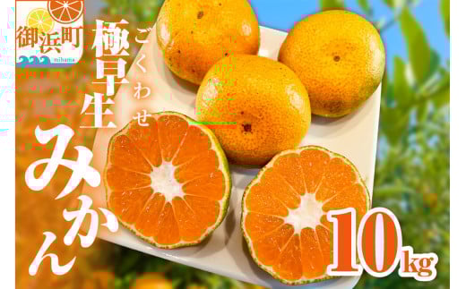 ミカファームの極早生みかん10キロ