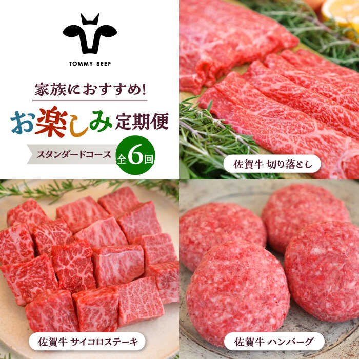 【牧場直送】【6回定期便】佐賀県産和牛 少人数 家族向け お楽しみ 定期便【有限会社佐賀セントラル牧場】詰め合わせ 牛肉 肉 お肉 セット 食べ比べ 和牛 切落し 切り落とし サイコロステーキ ハンバーグ