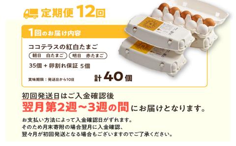 【12ヵ月定期便】ココテラスの紅白たまご　35個 + 5個保証（計40個）