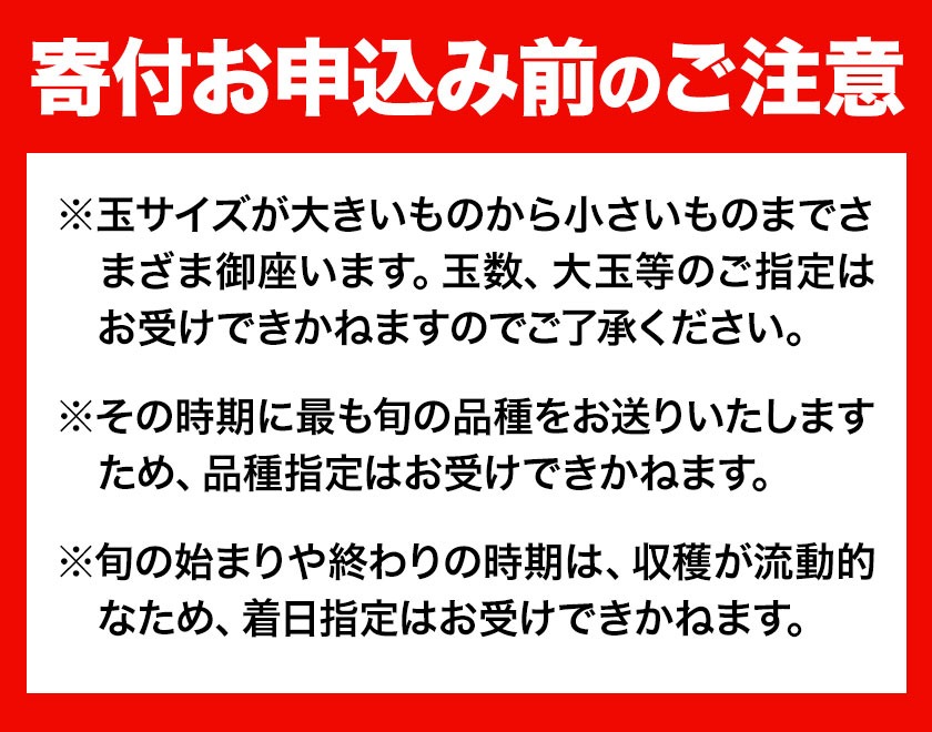 フルーツ 厳選 晴れの国定期便 シャインマスカット 2kg 白桃 1.3kg 2回 お届け 定期便 《ページ内記載の時期に発送》 果物 マスカット 桃 岡山県 笠岡市---kasaoka_zsytei