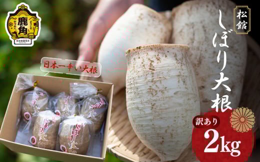 《先行予約》【訳あり】秋田県鹿角市八幡平産 松館しぼり大根 2kg（ 5～6個 ）【TR farm】 ●2025年11月上旬発送開始 薬味大根 GI 地理的表示登録 薬味 大根 ダイコン 野菜 地大根 伝統野菜 日本一 辛い 大根おろし ギフト お中元 お歳暮 ふるさと 返礼品 鹿角市 秋田 送料無料 