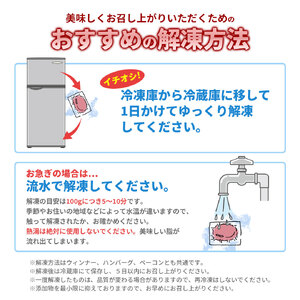 GIFTON 四元豚 グルメセットA 3種 750g ウインナー ハンバーグ 豚肉 国産 ギフト お歳暮 お中元 プレゼント 贈答 焼肉 バーベキュー キャンプ 料理 おつまみ 晩酌 お弁当 冷凍 オ