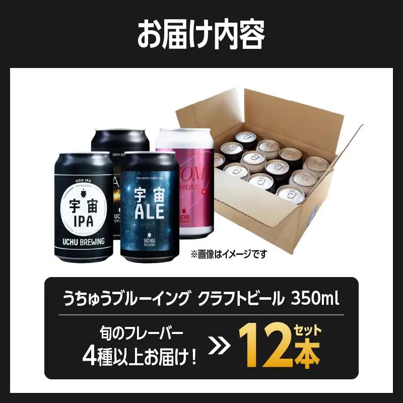 うちゅうブルーイング クラフトビール 12本 クラフトビール [h131]