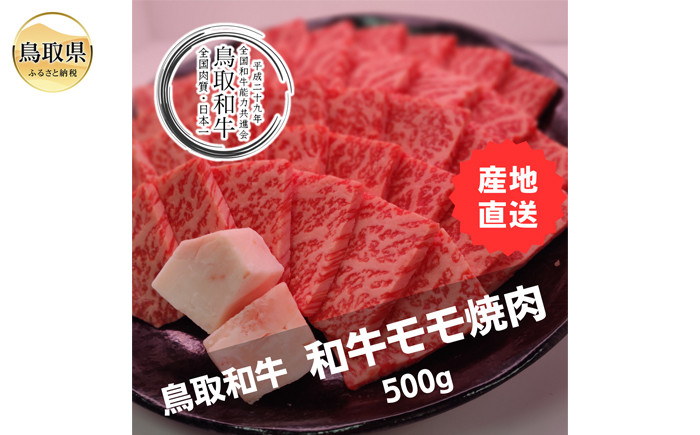 
                  鳥取和牛モモ焼肉　冷凍500g_T2600318 ふるさと納税 鳥取 牛肉 お肉 和牛 贅沢 おかず
                