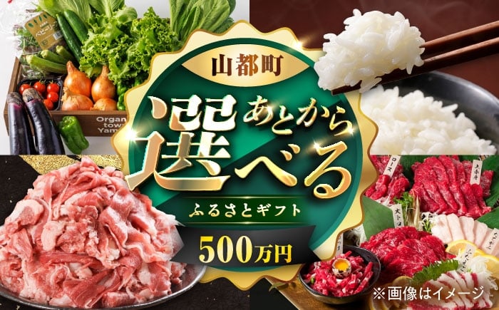 
            【あとから選べる】山都町ふるさとギフト 500万円分 米 牛肉 有機野菜 あか牛 馬刺し 定期便 山都 [YZX013]
          