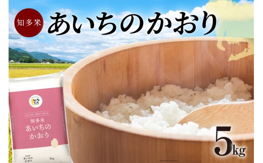 知多米　あいちのかおり5kg ／ お米 白米 うるち米 愛知県 特産品