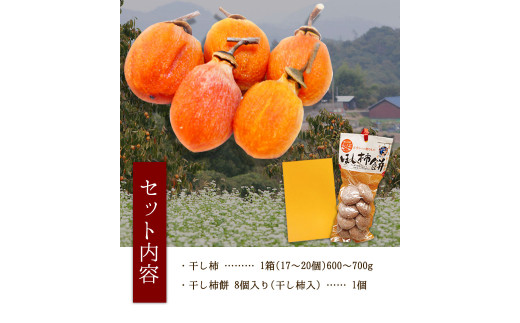 【2026年発送先行予約】 山ノ上 干し柿 セット 《2026年12月上旬-12月末頃出荷》 水車の里フルーツトピア 岡山県 矢掛町 柿 果物 フルーツ 干柿餅