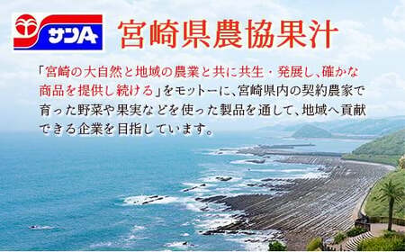 霧島山麓の天然水 590ml×24本 ペットボトル サンＡ 宮崎県産
