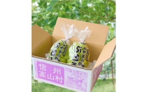 訳ありシャインマスカット3kg(4～6房)【1691203】