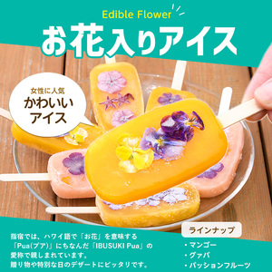 手作りアイスキャンディー エディブルフラワー入り 計16本(たいやき絲や/010-1910) 鹿児島 手作り アイス アイスキャンディー 氷 氷菓子 スイーツ おやつ ミルク あずき チョコ 抹茶 パ