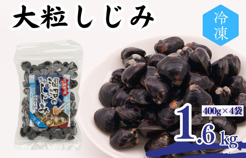 
            涸沼産 大粒しじみ （1.6kg）
          