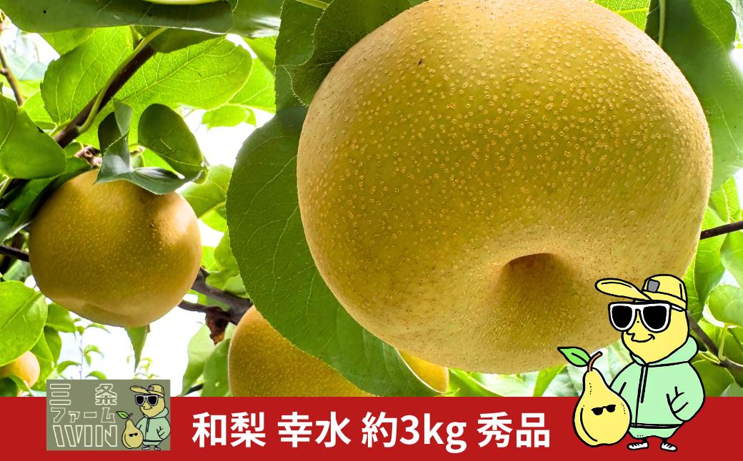 
            先行予約 和梨 幸水 約3kg 秀品 令和8年度 冷蔵 新潟フルーツ 新潟県産 梨 [三条ファームWIN] 【011S330】
          