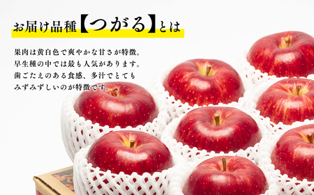 【レビューキャンペーン】9月発送 つがる 約3kg 青森県平川市産[hi-0003-030]