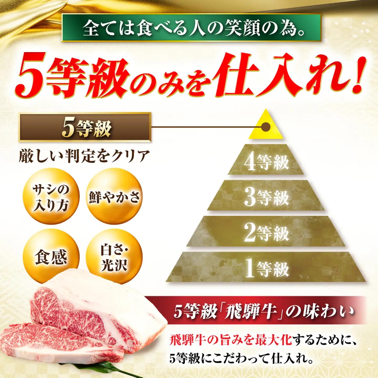 【3回定期便】飛騨牛 A5等級 焼肉用 カルビ・ロース 500g 牛肉 肉 お肉 焼き肉 BBQ 岐阜市 / 肉の松久[ANIP033]