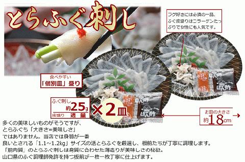 (10047)お中元ギフト 仙崎 とらふぐ刺身2人前 ふぐ皮湯引き ポン酢・赤おろし ふぐの天ぷら6枚 プレゼント 贈り物 季節限定 きらく 長門市