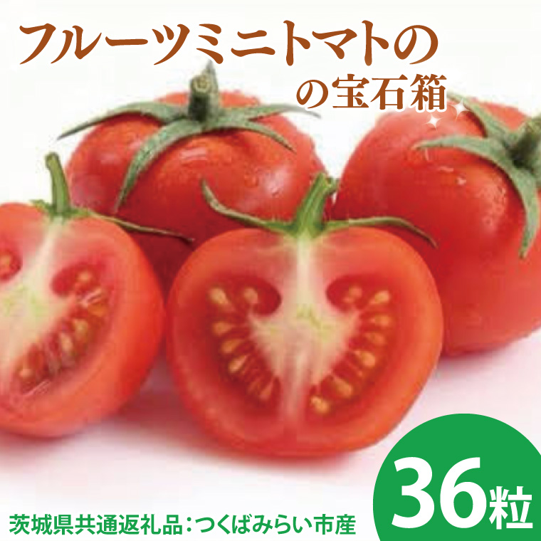 【先行予約】フルーツミニトマトの宝石箱 36粒（茨城県共通返礼品：つくばみらい市産）※2026年1月上旬～3月下旬頃に順次発送予定（CD091）