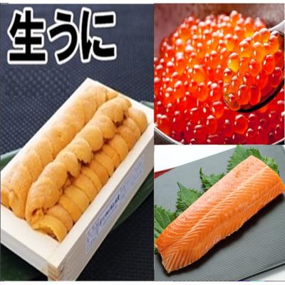ふるさと納税 根室市 エゾバフンウニ140g、いくら(鱒卵)150g、お刺身サーモン[11月下旬以降発送] E-71042