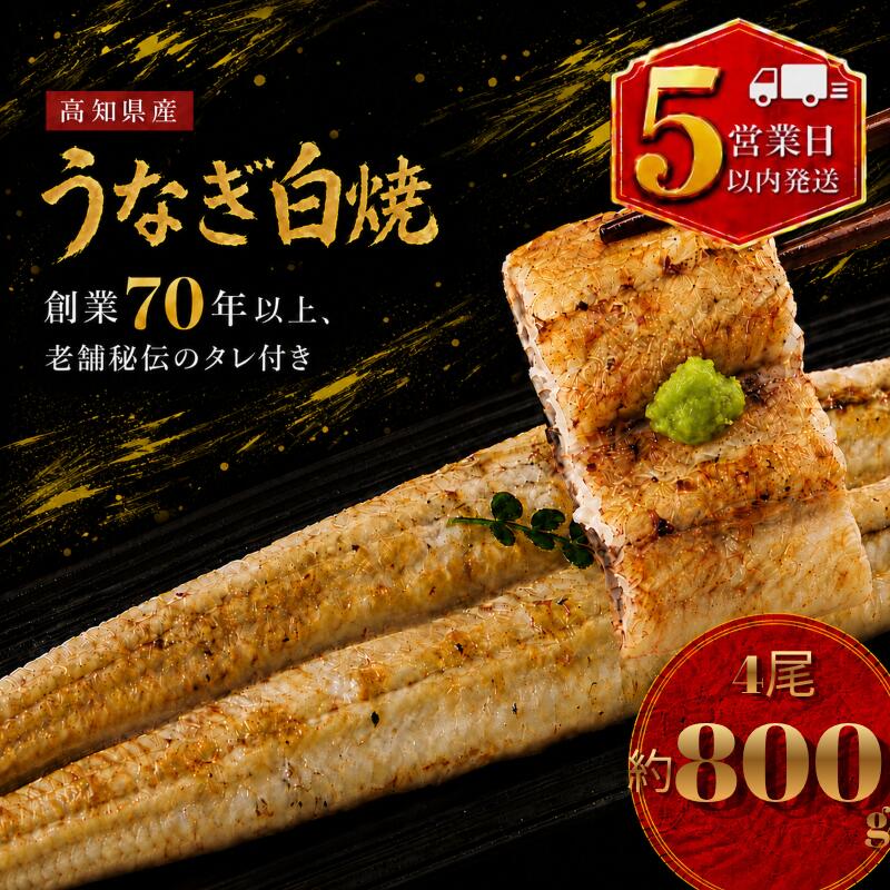 【ふるさと納税】 【スピード発送】 高知県産 うなぎ 白焼 4尾 | 国産 日本産 うな重 鰻 ウナギ 有頭 白焼き しらやき 土用丑の日 土用の丑の日 丑の日 魚 高級 贅沢 特別 老舗 釜めし初音 タレ付き 贈答 冷凍 ギフト お祝い 人気 おすすめ 湯煎 簡単 高知県 南国市