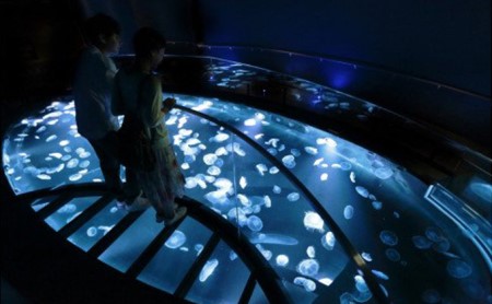 チケット 東京 すみだ水族館 年間パスポート引換券 大人2名 子供2名 入場券 優待券 年パス 旅行 SKYTREE 